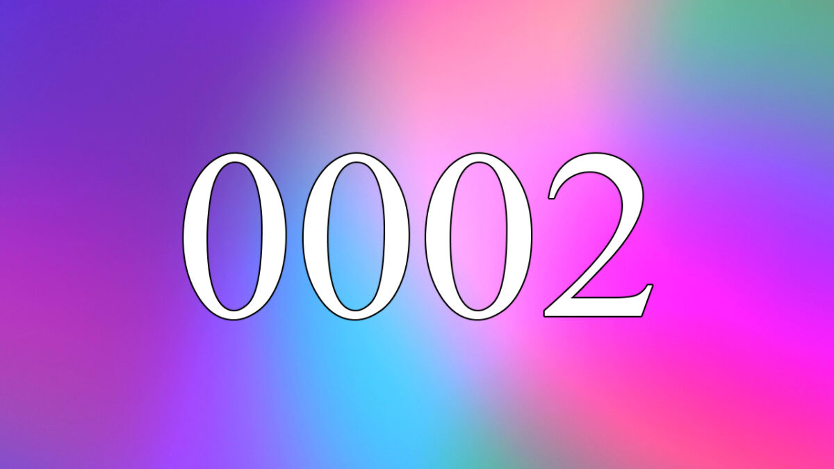 angel number 0002