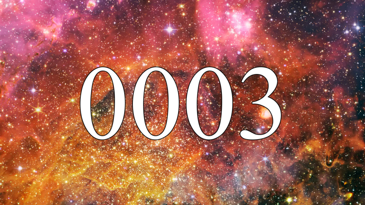 angel number 0003