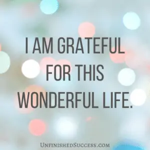 I am grateful for this wonderful life.