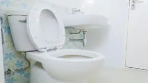 toilet seat up