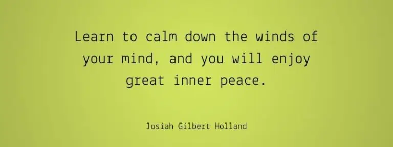 Learn to calm down the winds of your mind, and you will enjoy great inner peace.